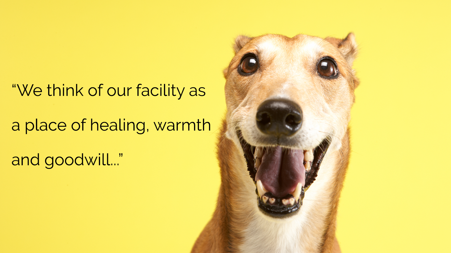 We think of our facility as a place of healing, warmth and goodwill